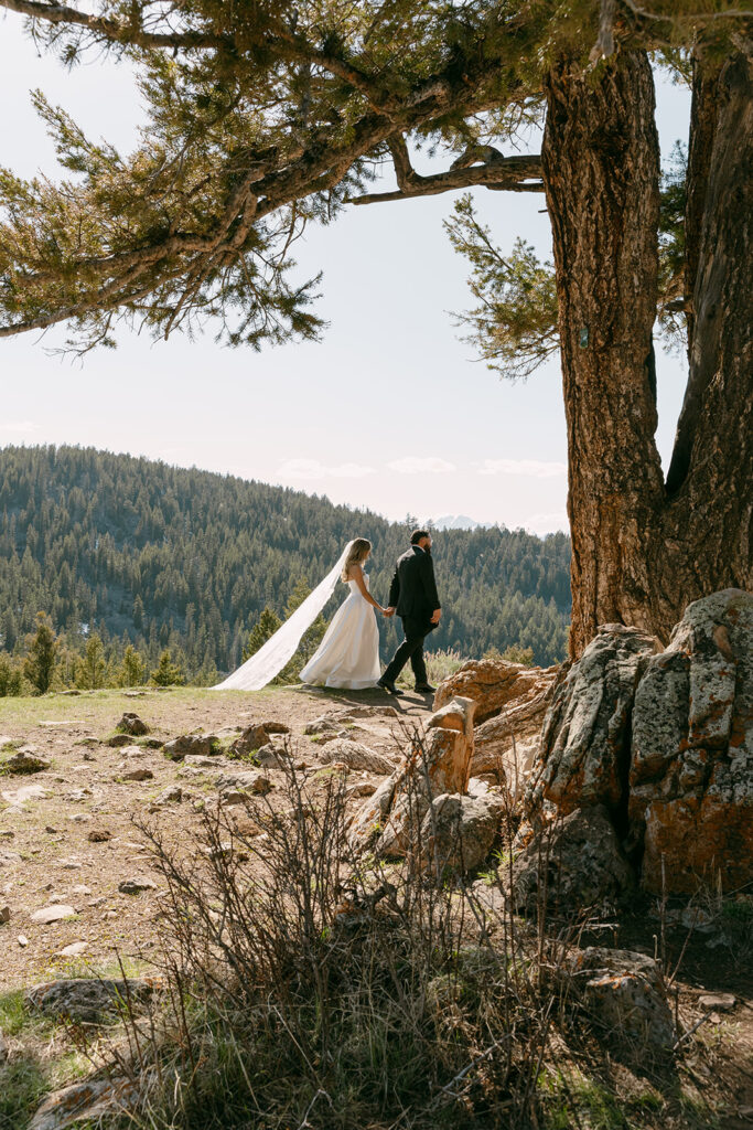 Bride and groom walk hand in hand beneath a tall tree during Wyoming Wedding Tree elopement.