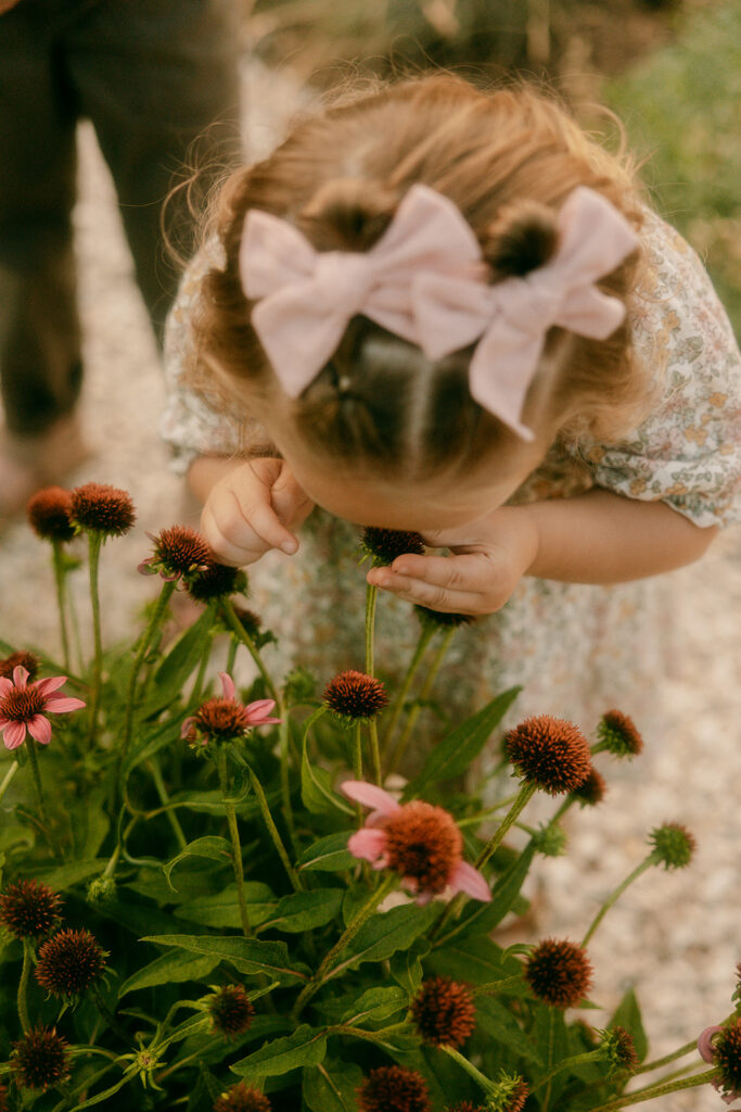 Toddler with pink bows smells pink coneflowers during a family session in Idaho Falls.