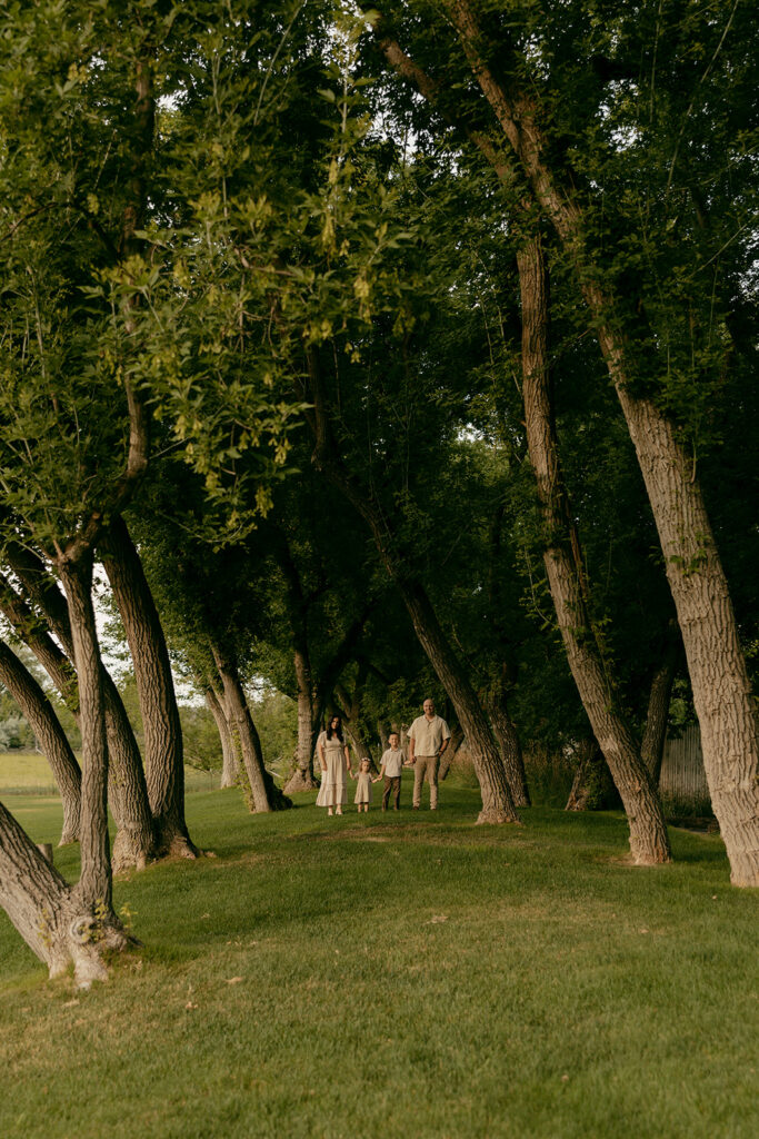 Family of four standing in a grassy wooded area under tall trees during golden hour.
