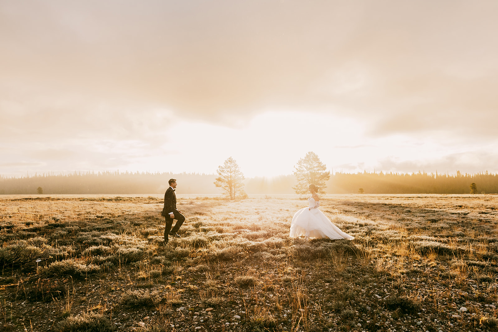Golden hour glow as bride and groom walk towards each other across a field.